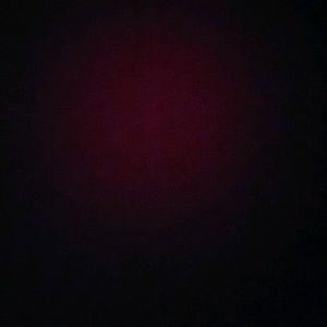 Meet your Posher, Ricky